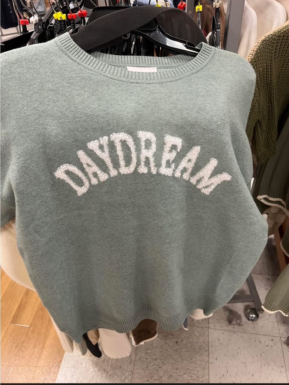 Taylor SwiftPink Rose DAYDREAM Crewneck Sweater - Sage Green with White Letterin